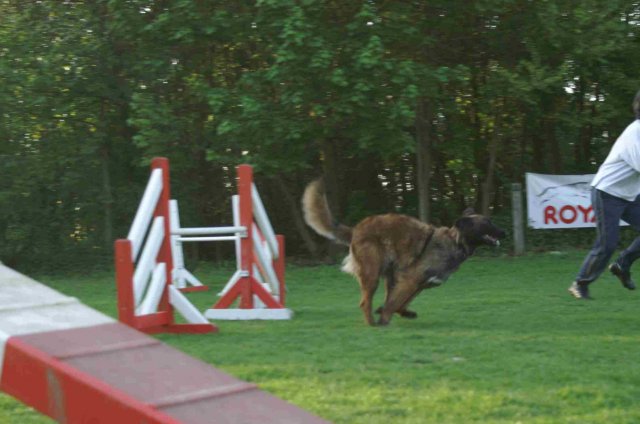 agility 2011-04